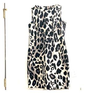 Ann Taylor Leopard Dress